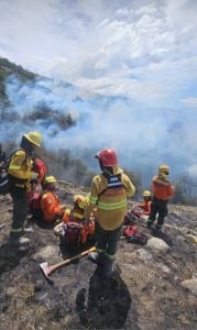 Información Importante: Actualización sobre el incendio en el Parque Nacional Los Glaciares