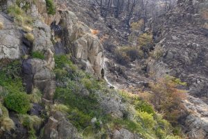 El gobernador Claudio Vidal coordina en El Chaltén las acciones para contener el incendio