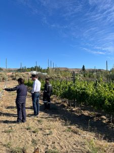 El Consejo Agrario recorrió el viñedo de Caleta Olivia y destacó el acompañamiento a la producción