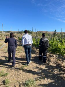 El Consejo Agrario recorrió el viñedo de Caleta Olivia y destacó el acompañamiento a la producción