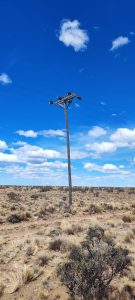 Servicios Publicos realizó trabajos de reparación en la línea de media tensión en Caleta Olivia