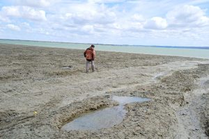 Amplio despliegue institucional en la búsqueda de Gabriel Mileca