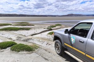 Amplio despliegue institucional en la búsqueda de Gabriel Mileca