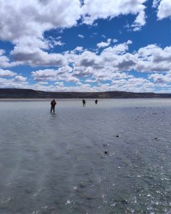 Amplio despliegue institucional en la búsqueda de Gabriel Mileca