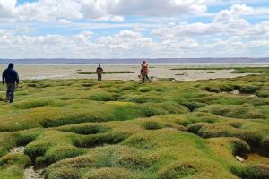 Amplio despliegue institucional en la búsqueda de Gabriel Mileca