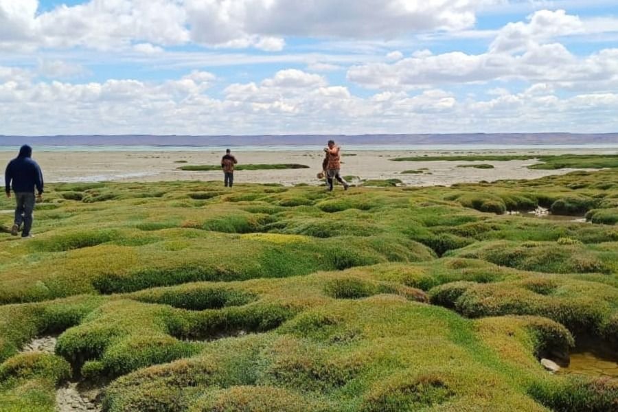 Amplio despliegue institucional en la búsqueda de Gabriel Mileca