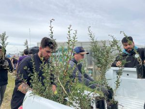 Inician la primera etapa de forestación en el predio de Santa Cruz Puede SAU