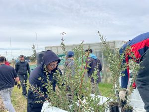 Inician la primera etapa de forestación en el predio de Santa Cruz Puede SAU