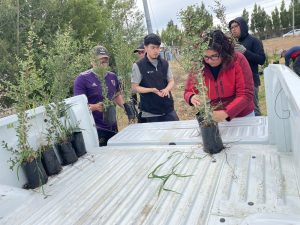 Inician la primera etapa de forestación en el predio de Santa Cruz Puede SAU