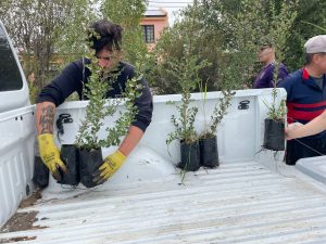 Inician la primera etapa de forestación en el predio de Santa Cruz Puede SAU