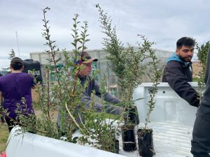 Inician la primera etapa de forestación en el predio de Santa Cruz Puede SAU
