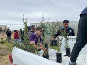 Inician la primera etapa de forestación en el predio de Santa Cruz Puede SAU