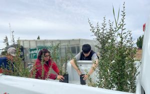 Inician la primera etapa de forestación en el predio de Santa Cruz Puede SAU