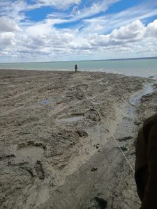 Pesca Continental:  Realizan operativos de control en áreas protegidas