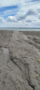 Pesca Continental:  Realizan operativos de control en áreas protegidas