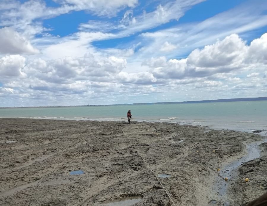 Pesca Continental:  Realizan operativos de control en áreas protegidas