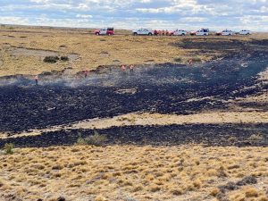 El Consejo Agrario Provincial despliega operativo ante un incendio rural en cercanías de Río Gallegos