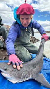 El Consejo Agrario Provincial impulsa acciones de producción sustentable y conservación marina en Santa Cruz