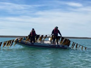 El Consejo Agrario Provincial impulsa acciones de producción sustentable y conservación marina en Santa Cruz