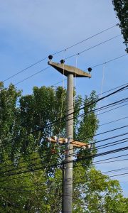Servicios Públicos realizó trabajos de mantenimiento sobre redes de energía en Río Gallegos