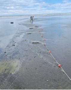 Refuerzan los operativos de fiscalización en zonas de pesca deportiva