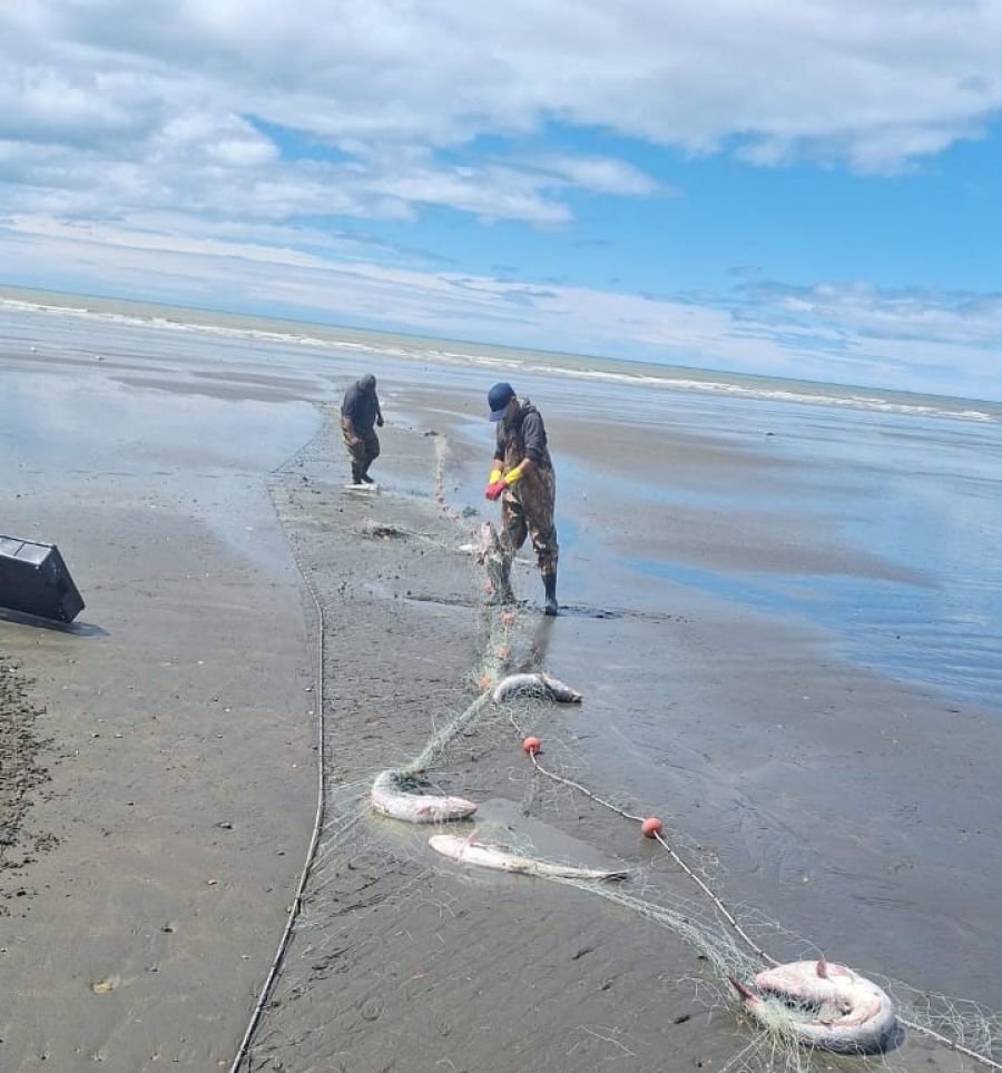 Refuerzan los operativos de fiscalización en zonas de pesca deportiva