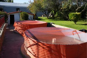 La Secretaría de Pesca recorrió la Estación Municipal de Piscicultura “Isla Pavón”