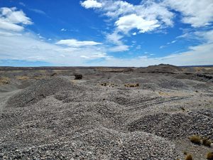 El Gobierno reforzó las tareas de control ambiental en el yacimiento Del Mosquito