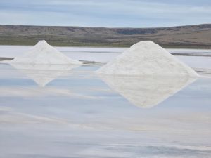 Vialidad Provincial inició la cosecha y acopio de sal para el Plan Invernal 2026