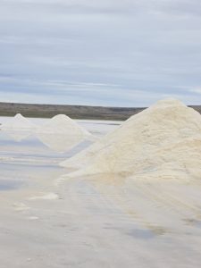 Vialidad Provincial inició la cosecha y acopio de sal para el Plan Invernal 2026