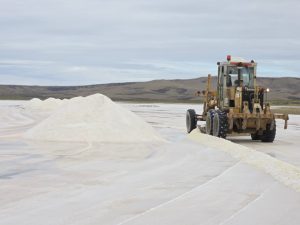 Vialidad Provincial inició la cosecha y acopio de sal para el Plan Invernal 2026