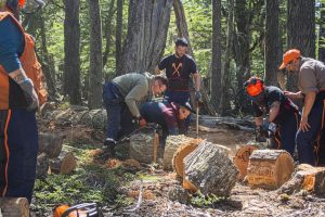 Se iniciaron las tareas de acopio de leña para el Plan Invernal 2026