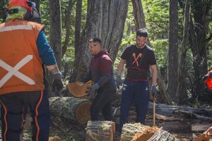 Se iniciaron las tareas de acopio de leña para el Plan Invernal 2026