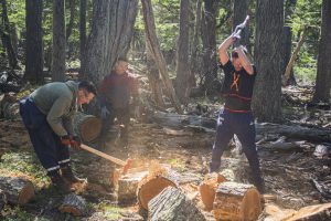 Se iniciaron las tareas de acopio de leña para el Plan Invernal 2026