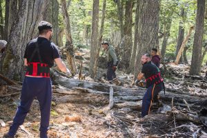 Se iniciaron las tareas de acopio de leña para el Plan Invernal 2026