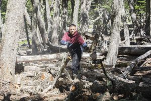 Se iniciaron las tareas de acopio de leña para el Plan Invernal 2026