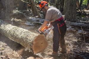 Plan Invernal 2026: El Consejo Agrario destacó la articulación con la cartera social y el cuidado del bosque andino