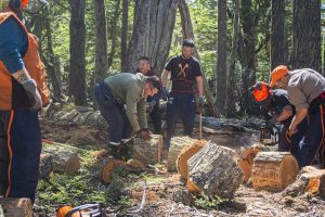 Plan Invernal 2026: El Consejo Agrario destacó la articulación con la cartera social y el cuidado del bosque andino