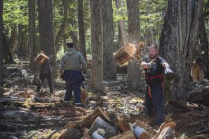 Plan Invernal 2026: El Consejo Agrario destacó la articulación con la cartera social y el cuidado del bosque andino