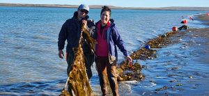 Cultivo de algas en San Julián: Crece un proyecto pionero para proteger el mar patagónico