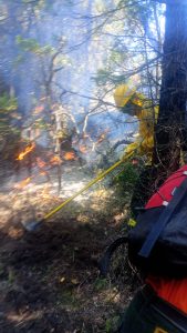 Santa Cruz refuerza el combate de los incendios forestales en Chubut