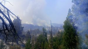 Santa Cruz refuerza el combate de los incendios forestales en Chubut