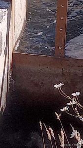 Denuncian intervención ilegal y robo de compuertas en el canal Las Hormigas