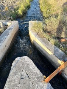 Denuncian intervención ilegal y robo de compuertas en el canal Las Hormigas