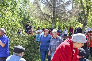 #MayoresEnMovimiento: Continúan las colonias de vacaciones en Río Gallegos