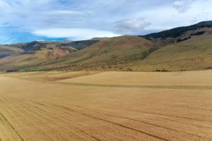 Vidal: “La única posibilidad que tenemos en esta provincia de salir adelante es con trabajo y producción”