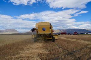 Vidal: “La única posibilidad que tenemos en esta provincia de salir adelante es con trabajo y producción”