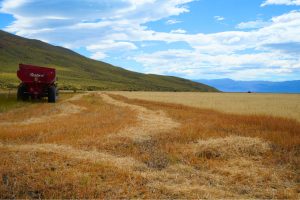 Sívori: “Queremos que estas hectáreas se multipliquen y convoquen a más productores”