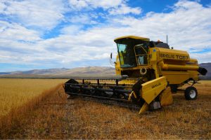 Sívori: “Queremos que estas hectáreas se multipliquen y convoquen a más productores”