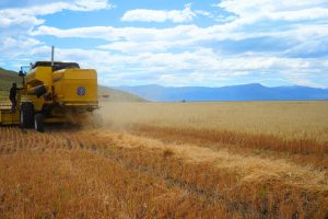 Sívori: “Queremos que estas hectáreas se multipliquen y convoquen a más productores”